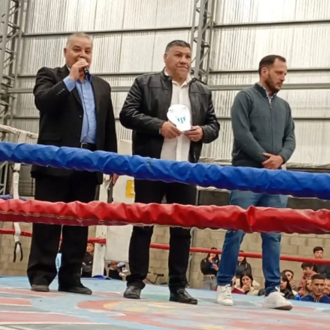 Boxeo