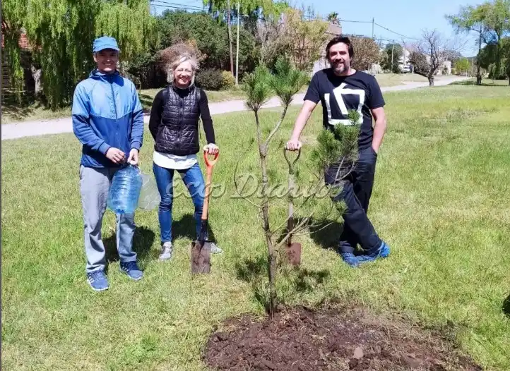 Una buena excusa para plantar árboles