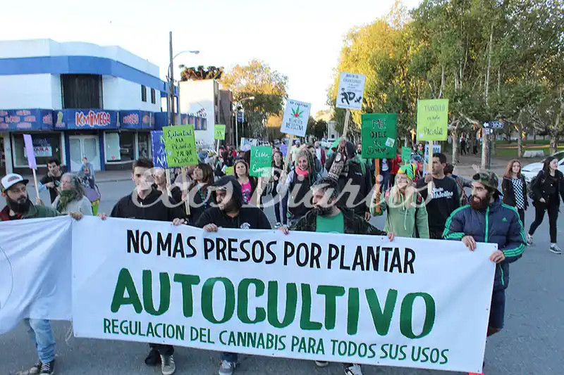Reclamaron por el cannabis para todo uso