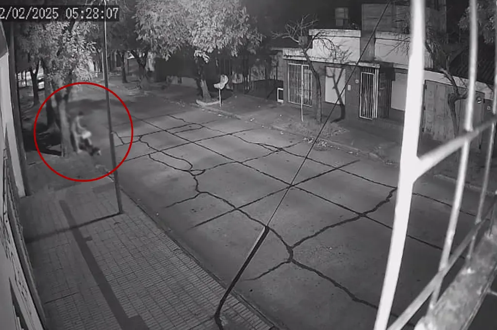 La cámara de seguridad del sector captó el momento