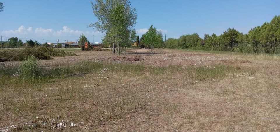 Sadiv proyecta su geriátrico sobre las barrancas