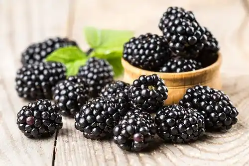 Época de moras: un fruto regional con múltiples beneficios para la salud