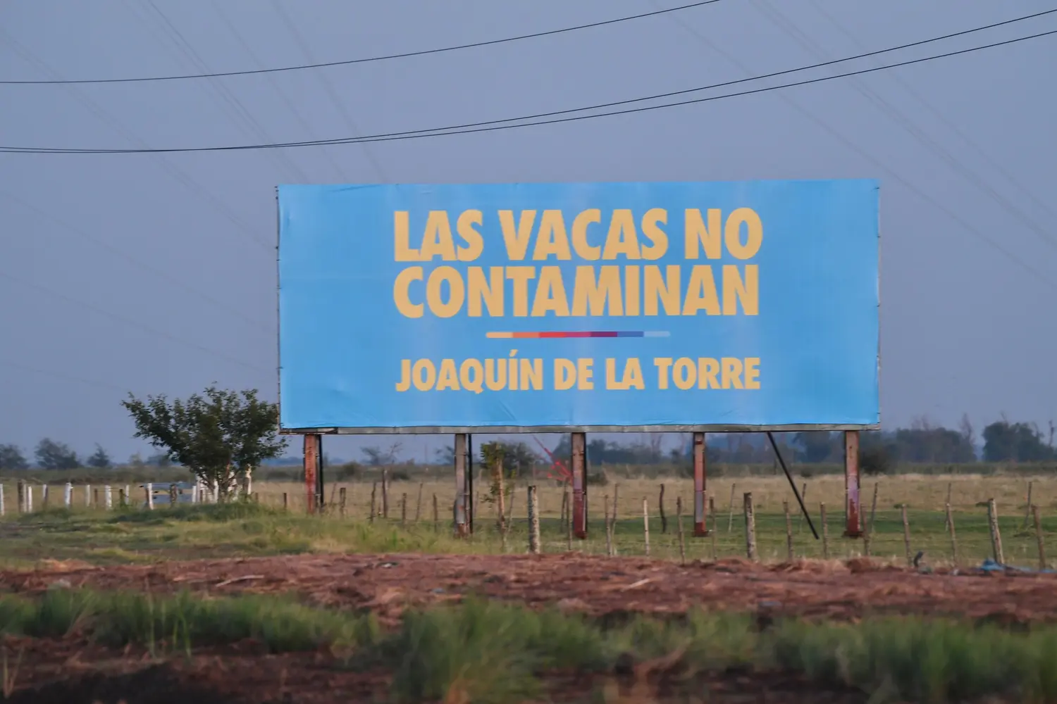 De la Torre: "Hay políticos progres que hablan de que las vacas contaminan y proponen que dejemos de consumir carne"