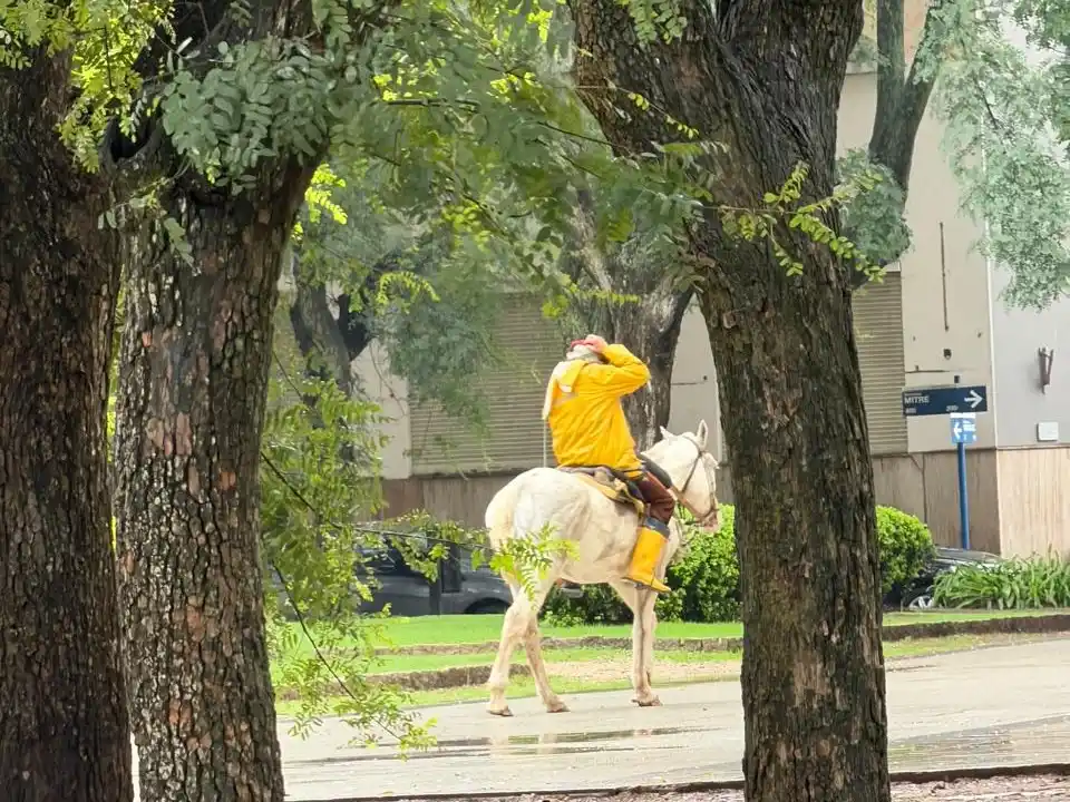 Volvió a aparecer el jinete que realiza trámites a caballo