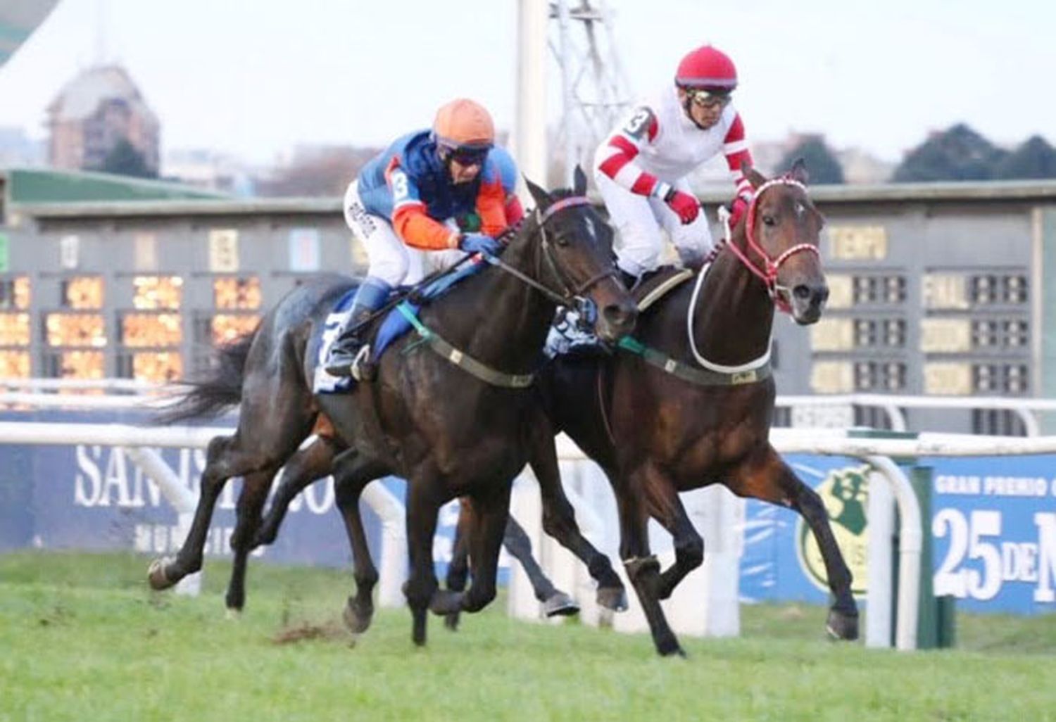 Miércoles 17: Actividad Hipódromo de San Isidro
