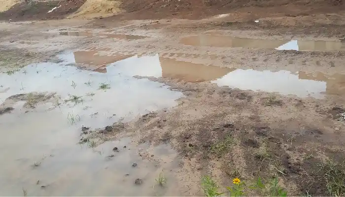 Calles en las 55 viviendas