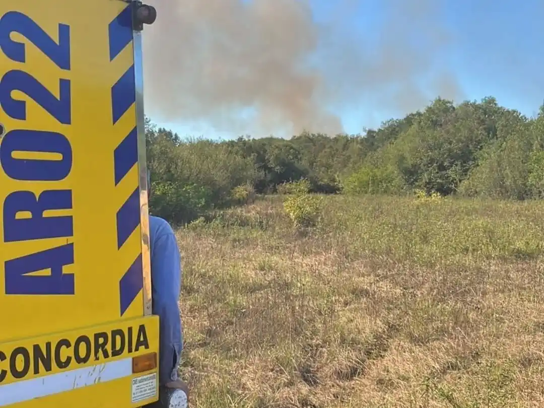 Importante incendio forestal en zona de Arca de Enrimir