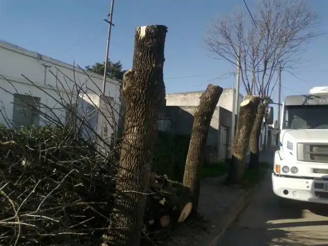 Planto que te planto