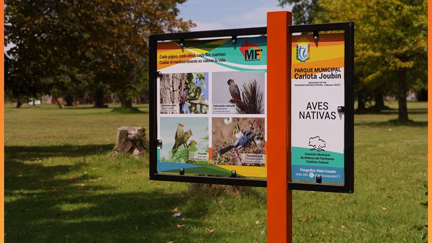 El Parque Carlota Joubin será el punto de encuentro.