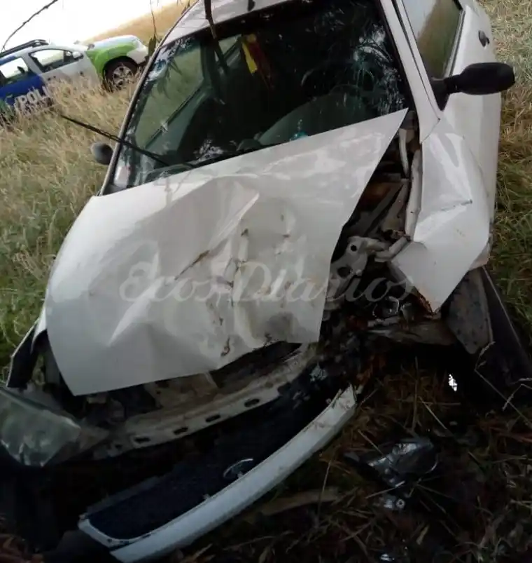 Se despistó en la ruta 86 y chocó contra un árbol