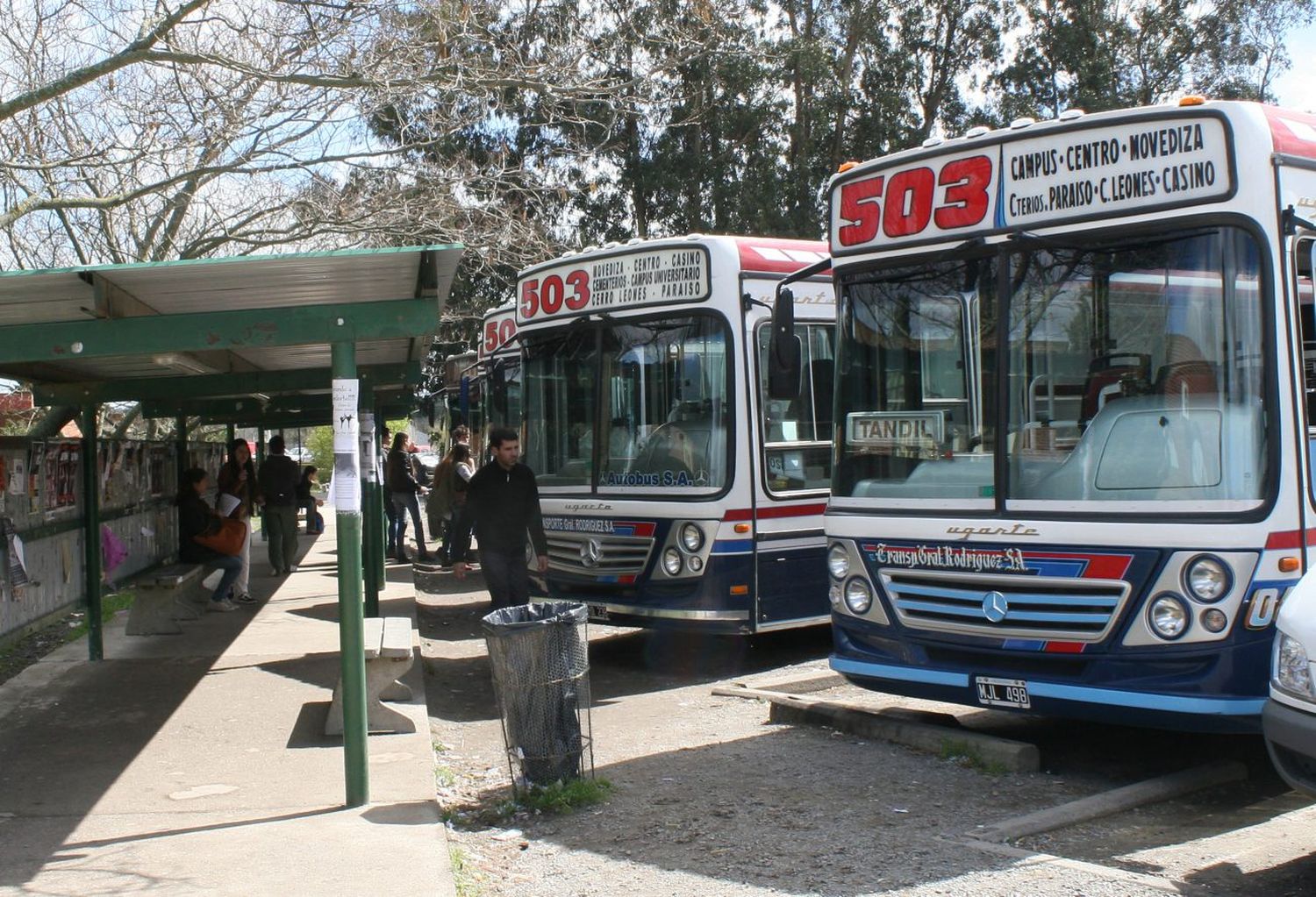 Vuelven a cambiar los horarios y frecuencias del transporte urbano