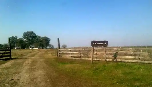 El hombre que se disparó el rostro fue derivado a Paraná 