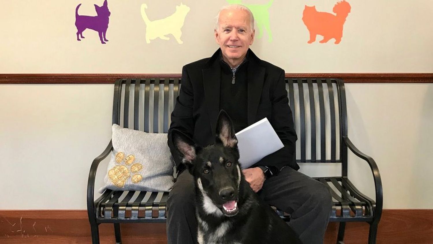 El perro de Biden mordió a una persona en la Casa Blanca