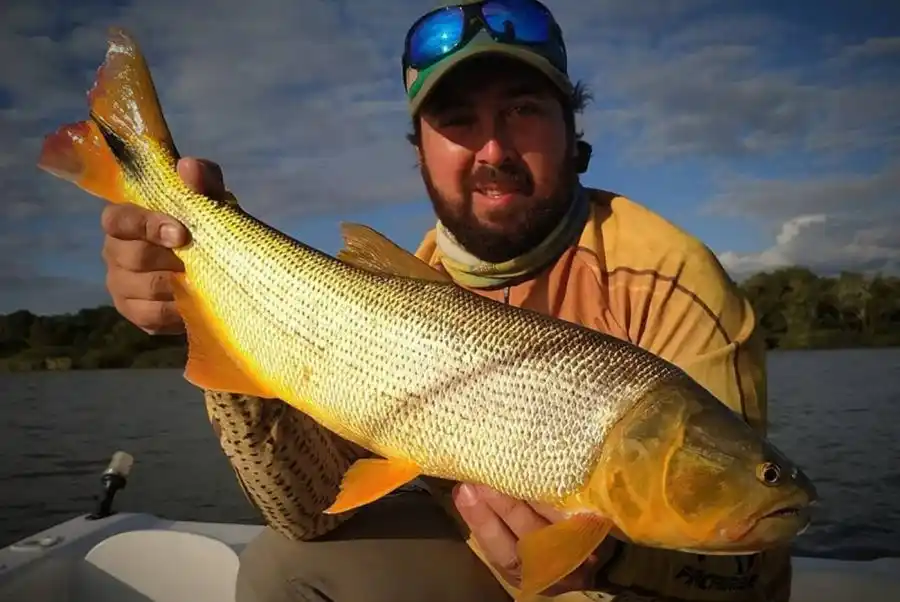 Pesca: se viene un fin de semana a todo pique en Entre Ríos