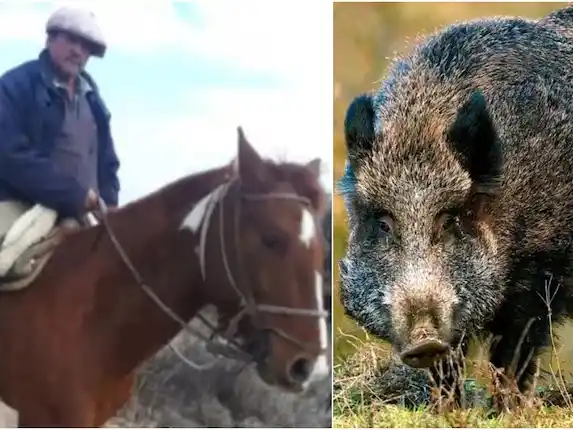 Diego Iván Cortez, un puestero de 49 años, murió tras ser atacado por un jabalí mientras arreaba vacas en El Carrizal.