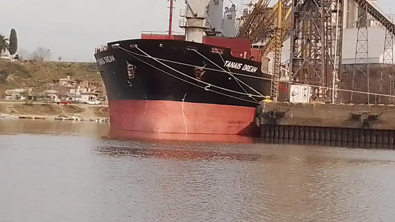 Inspeccionaron un barco que atracó en el puerto a cargar trigo
