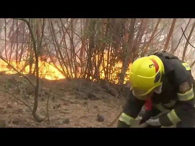 Chile: Ratifican el carácter intencional de los incendios