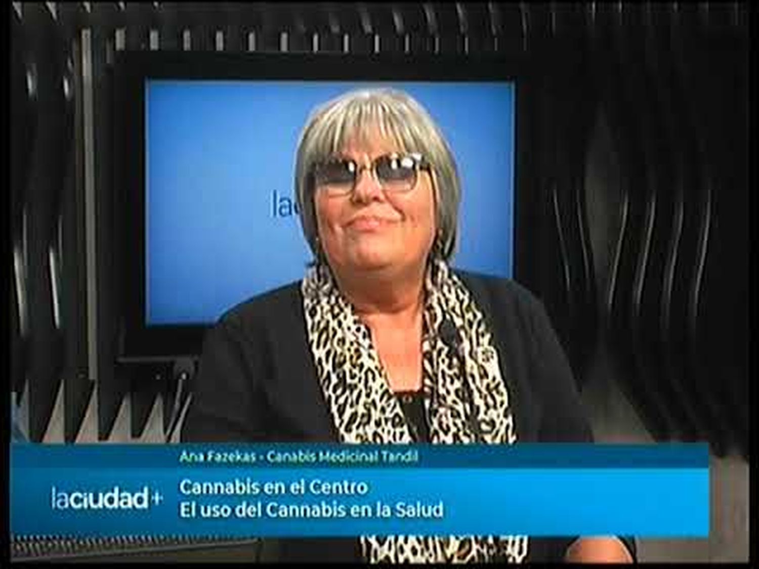 Jornada sobre el uso del Cannabis en la salud | La Ciudad