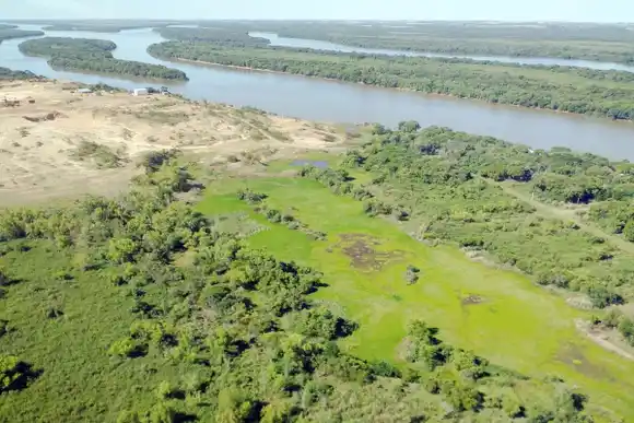 Presentación de la Alianza Verde Argentina