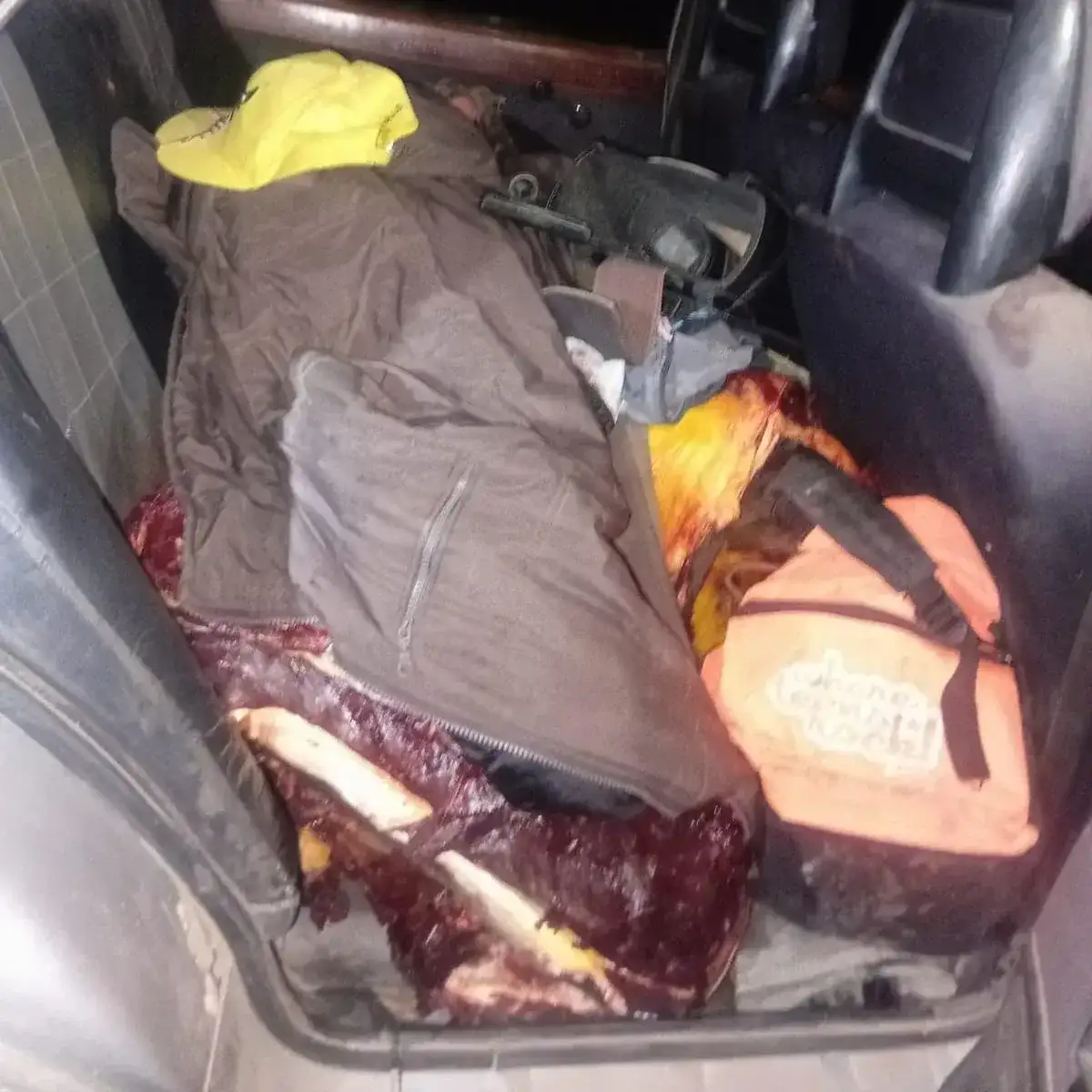 Pasajero un poco pecular: Aprehendieron a una mujer y secuestraron 400 kilos de carne equina - 3