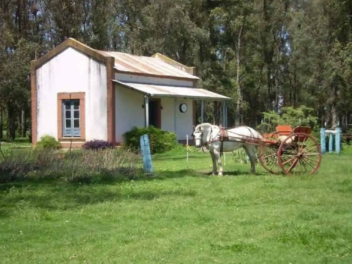  Quebracho Herrado: nuevas autoridades y actividades para la agrupación gaucha      