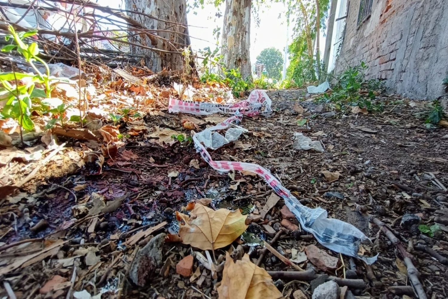 Ola de violencia: asesinaron a una joven en zona sur