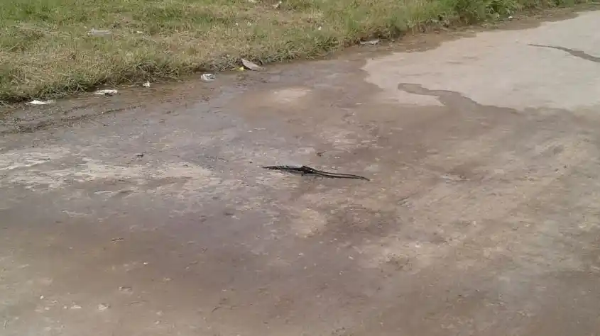 Pérdida de agua en 55 entre 32 y 30
