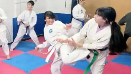 El Taekwon-do vuelve al Club Ferro con un encuentro regional