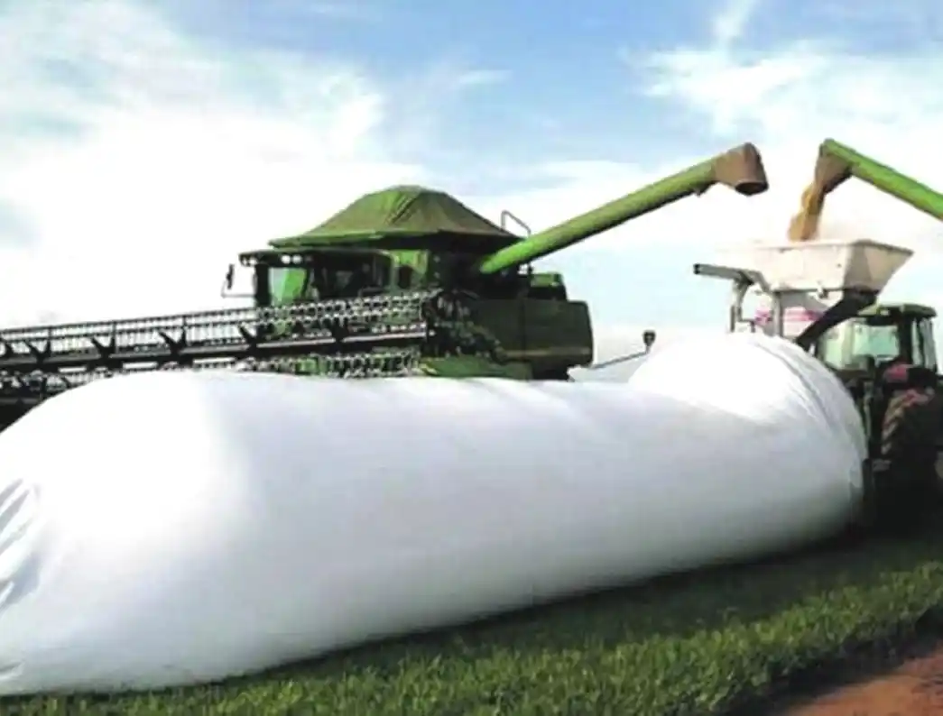 Casaretto le aconseja al campo sobre los precios de la soja