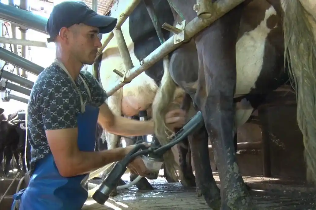 Lecheros piden flexibilizar precios y bajar derechos de exportación