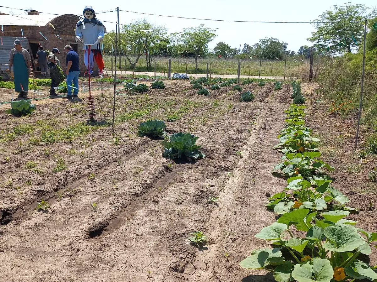 Miramar: el municipio dispone de una huerta para sus empleados        