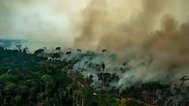 El humo del Amazonas ya llegó a Entre Ríos y a otras 11 provincias
