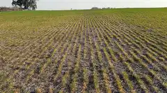 Falta de lluvias: este julio se encamina a ser uno de los más secos en 60 años