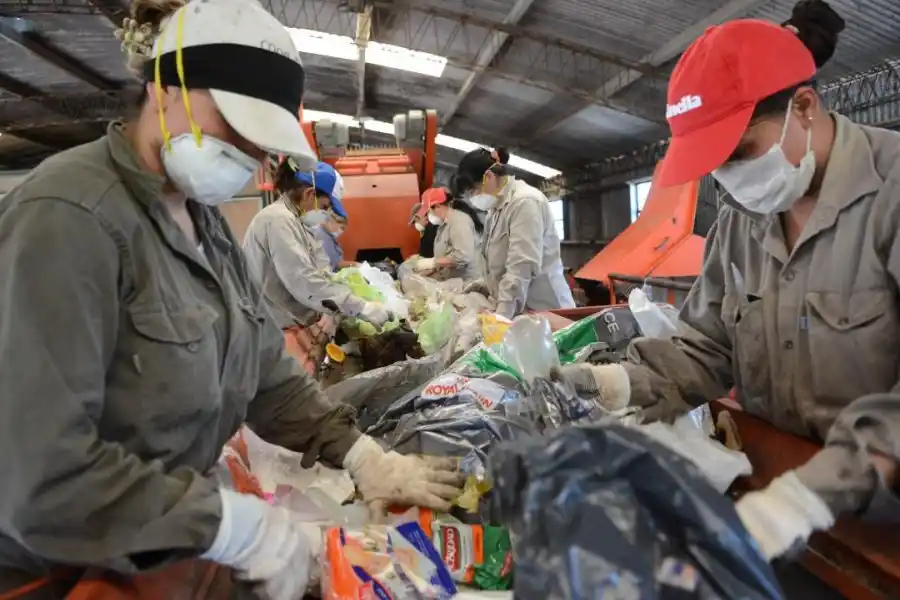 El sustento de muchas familias está en riesgo, hay que actuar
