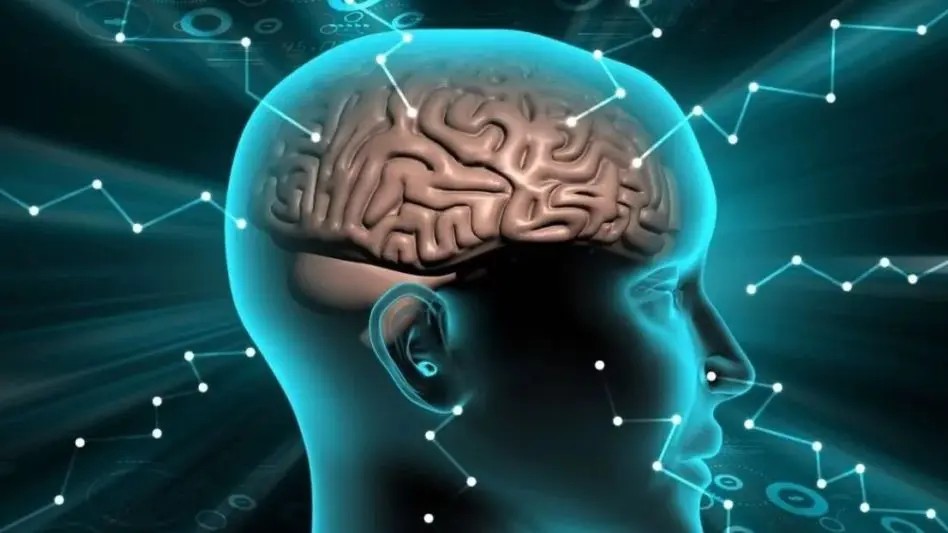 Entrenar el cerebro para salvar la vida: consejos clave en la Semana Internacional del Cerebro