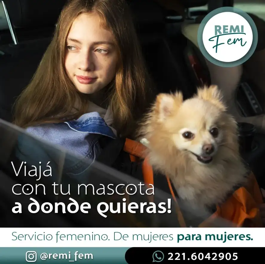 RemiFem6