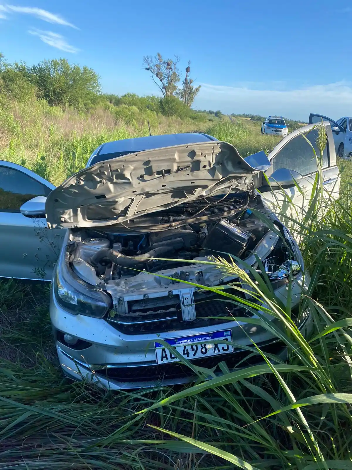 Accidente en Ruta 12: un ciervo provoca el despiste de un automóvil cerca de Hasenkamp