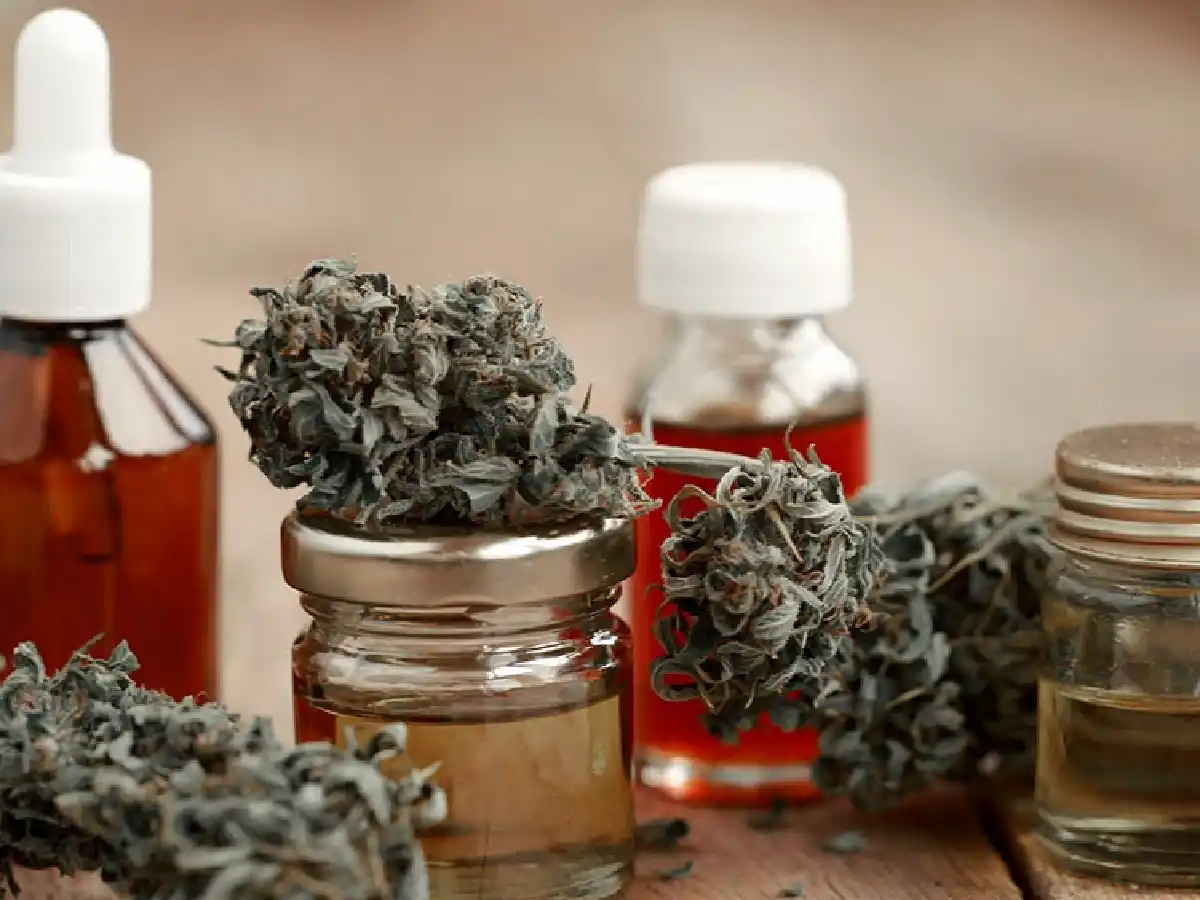 Oficializaron la nueva reglamentación para facilitar el acceso al cannabis medicinal