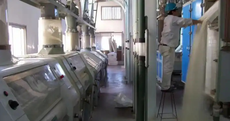 A pesar de las adversidades, se sostiene la voluntad de sembrar.