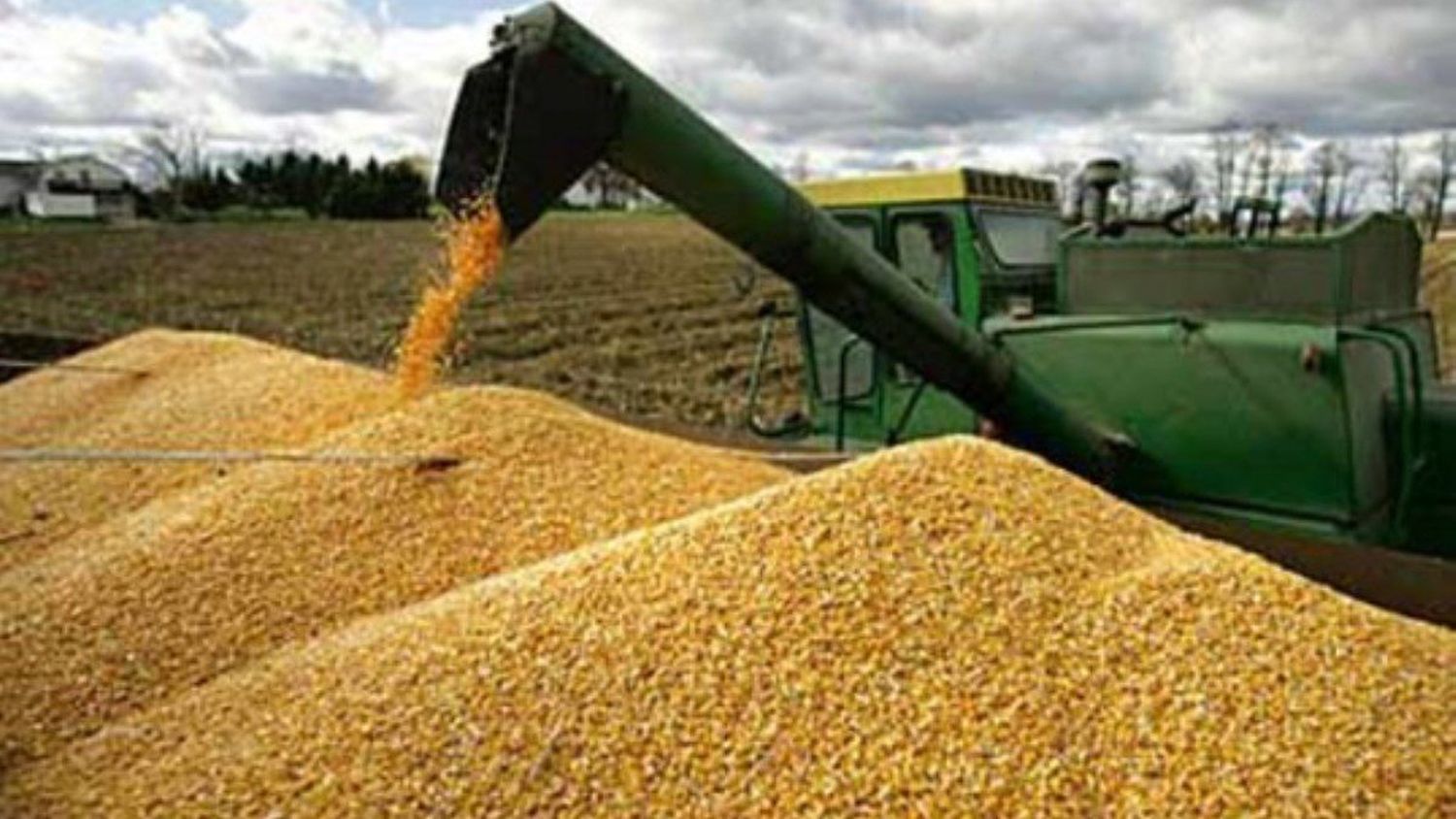 Agroindustria pide al Gobierno desmontar importación de rubros terminados derivados del maíz