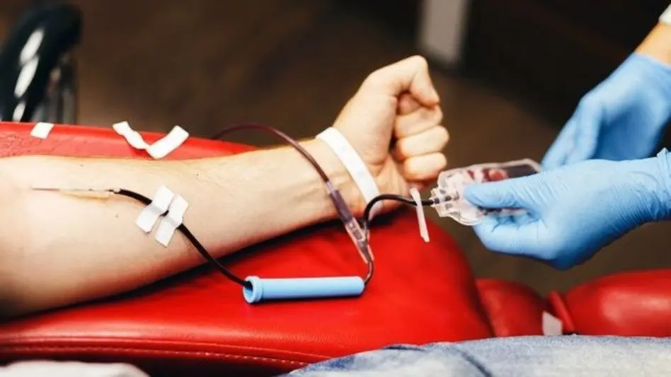 Disminuyó la cantidad de donantes de sangre en Mar del Plata