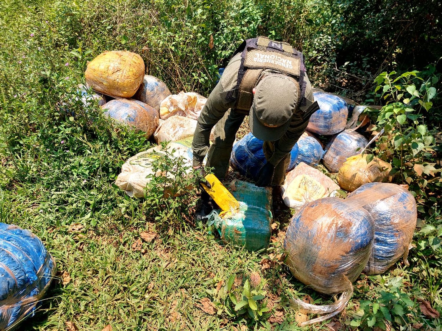 Secuestran más de 470 kilos de marihuana de Misiones