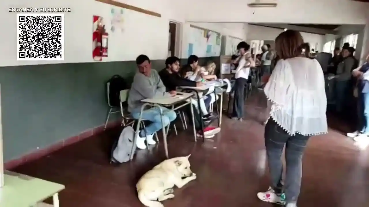 Escuela 13: ¿A quién vota el perrito?