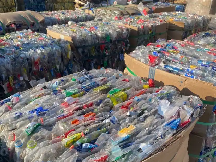 El programa San Francisco Recicla sigue creciendo.