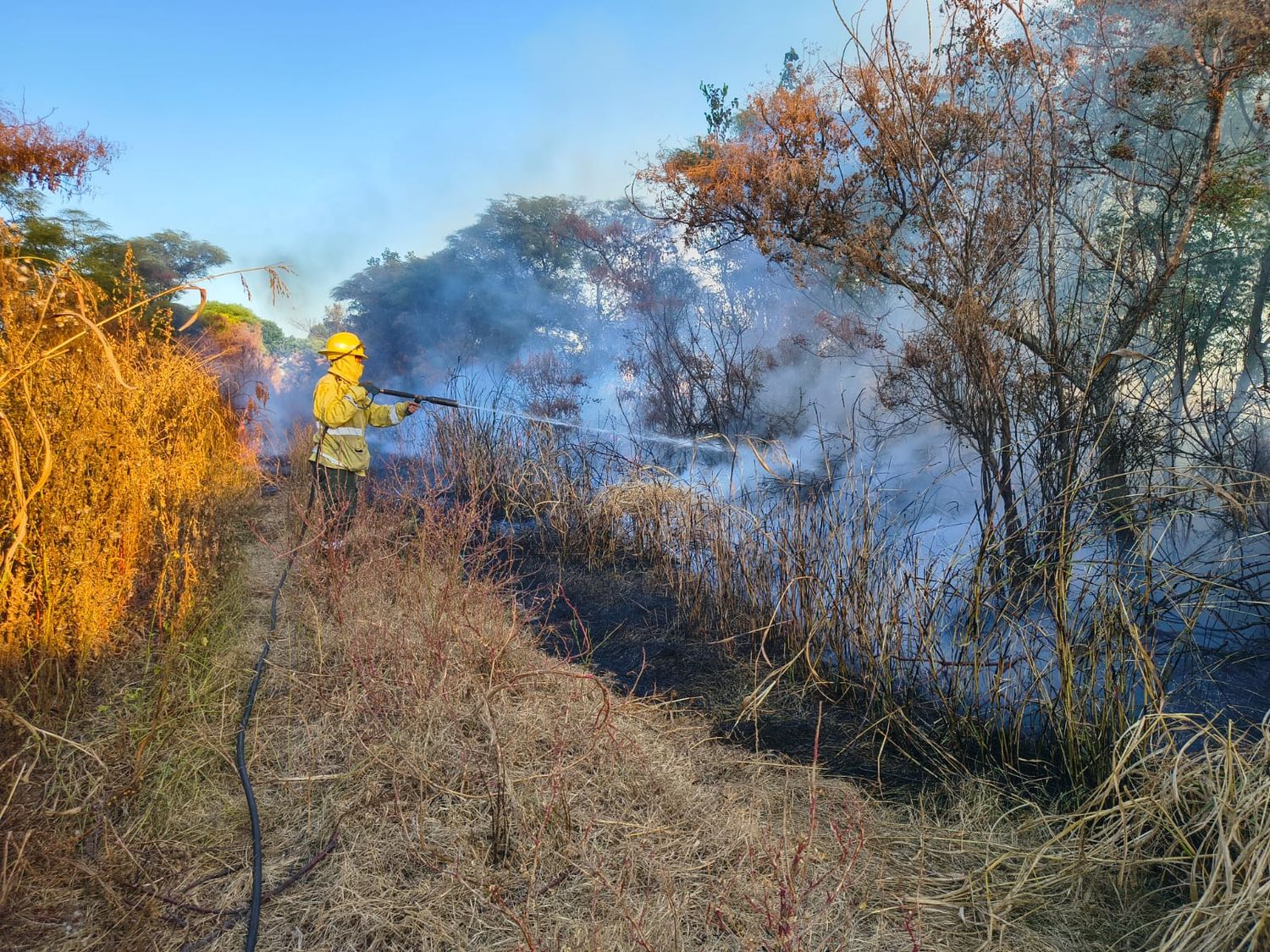 Grave incendio en un monte en zona rural: los Bomberos Zapadores y Voluntarios trabajaron horas para sofocarlo