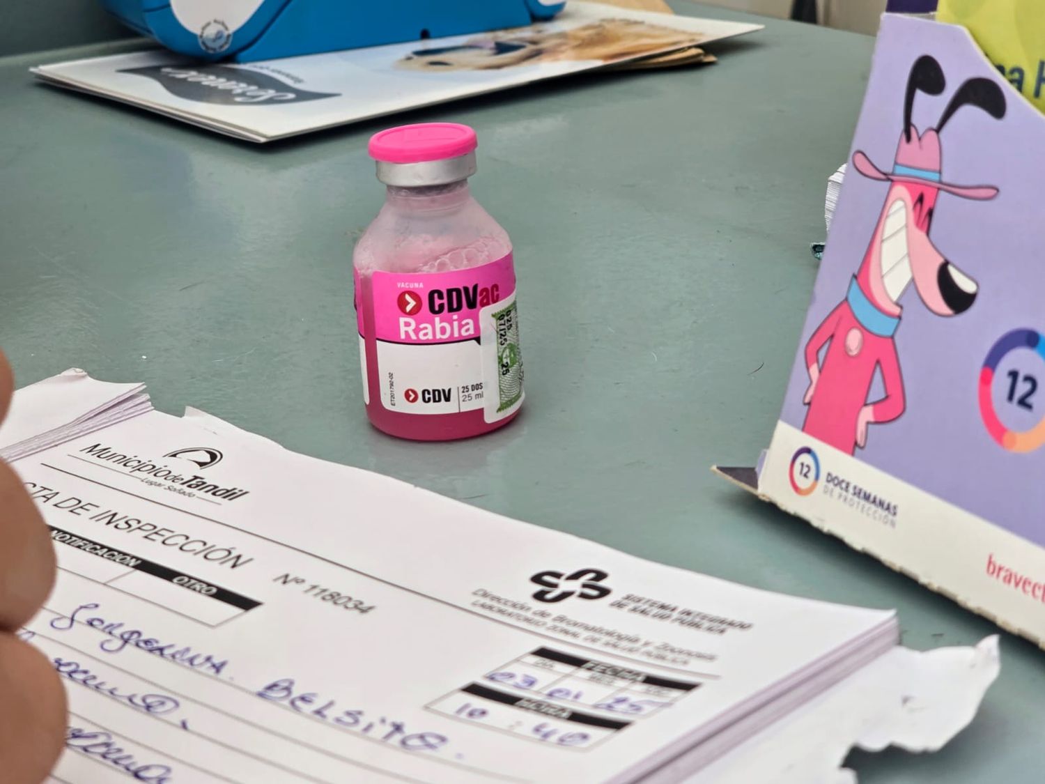 Bromatología continúa entregando vacunas antirrábicas en veterinarias locales