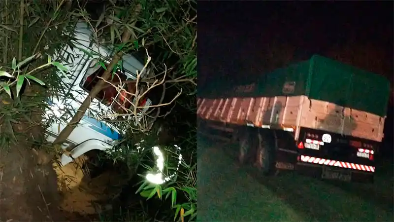 Un camión que circulaba por la ruta despistó y terminó entre cañaverales