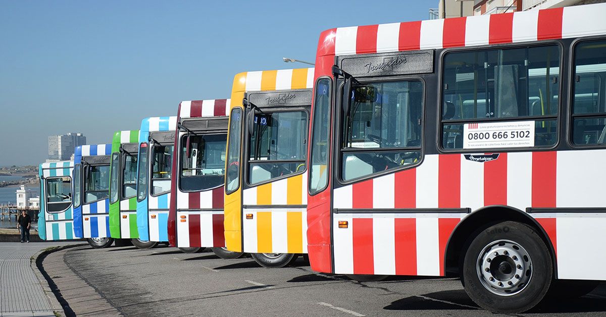 El Municipio calificó el servicio de colectivo: "Estamos 5 puntos”