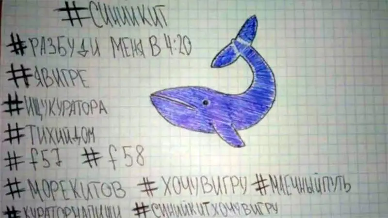 "Ballena Azul": Falleció el adolescente que estaba internado en Paraná