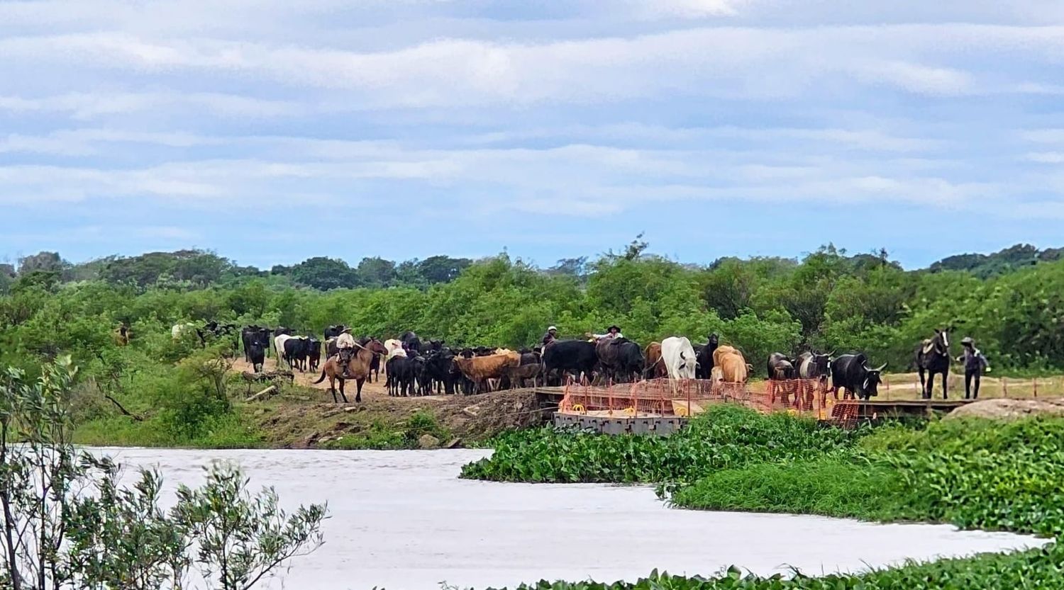 Villa Ocampo: hoy retiran el puente flotante sobre el Paraná Miní